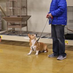 photograph by PeterW